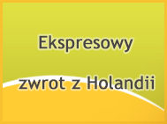 Baner promocyjny